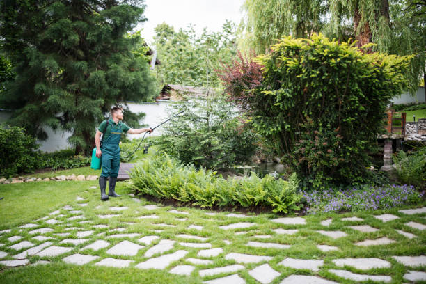 Wasp Removal Services in Rock Creek, MN