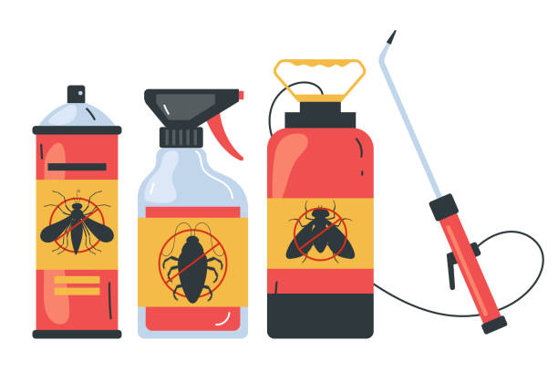 Best Termite Control Services  in Rock Creek, MN