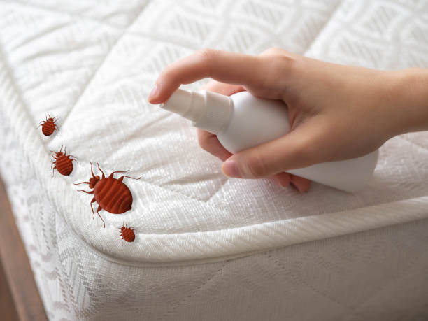 Best Pest Control for Restaurants  in Rock Creek, MN
