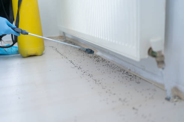 Best Pest Prevention Services  in Rock Creek, MN